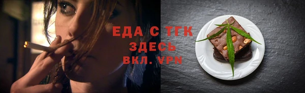 хмурый Белая Холуница