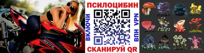 Псилоцибиновые грибы мицелий  Богородицк 