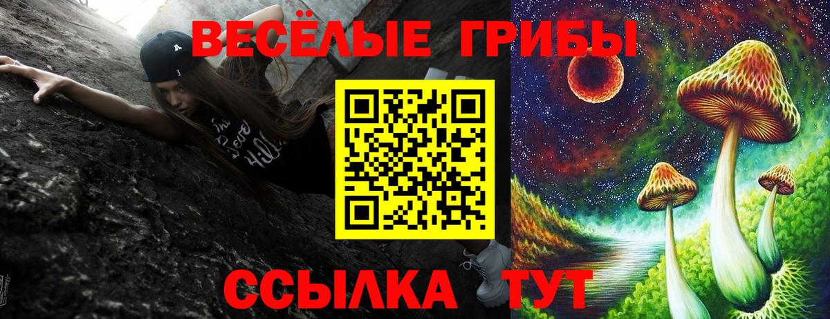 Галлюциногенные грибы Psilocybe  Псилоцибиновые грибы Psilocybine cubensis  Вход с VPN  Богородицк 