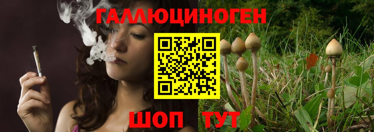 Псилоцибиновые грибы MAGIC MUSHROOMS Богородицк
